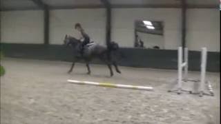 **SOLD TO GERMANY** 3yo Celano x Numero Uno ~ First few jumps under saddle