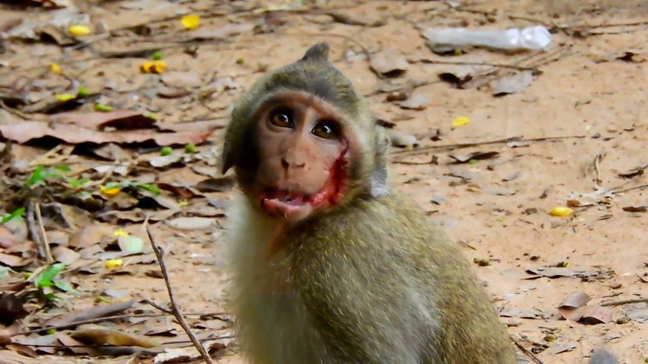 like a prayer Oh Breakheart To See Ginger Happen Like This/ His Mouth Is Very Poor