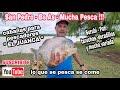 Surubi - Pati - Doradillos - Tarariras - Manduve  / Pesca en San Pedro / cabañas " EL JUANCA "