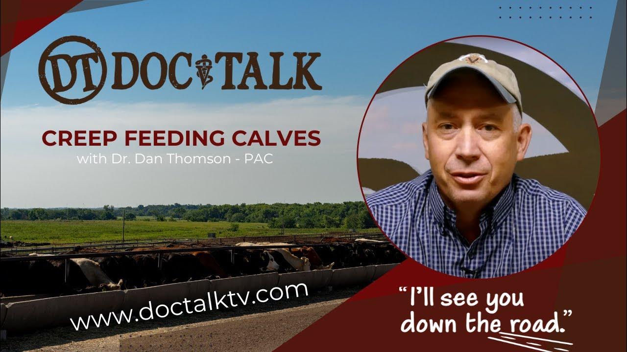 doctalk-ep-576-creep-feed-for-calves-youtube