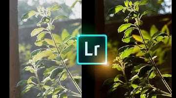 Natural Photos editing like Professional in Lightroom || Full Tutorial || theAmritdev