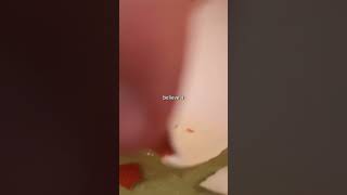 How To Get Egg Shell Out Of Your Egg #shorts #tips