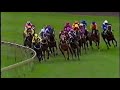 1994 George Ryder Stakes - Telesto