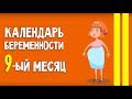 Беременность | 9 месяц