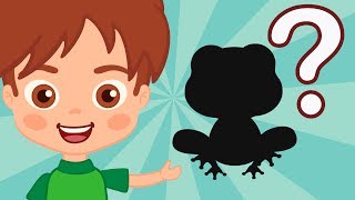 ¿Conoces a estos animales? ★ Juegos y Sorpresas