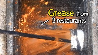 How much grease comes out of a restaurant drain pipe?
