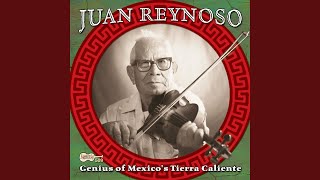 Video thumbnail of "Juan Reynoso - Coyuca de Catalan (Gusto)"