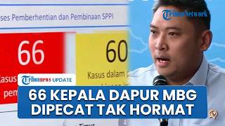 BGN Copot 66 Kepala Dapur PPPK, Sudaryono: Kena Pelanggaran Berat Imbas Judol hingga Penipuan BGN Copot 66 Kepala Dapur PPPK, Sudaryono: Kena Pelanggaran Berat Imbas Judol hingga Penipuan
