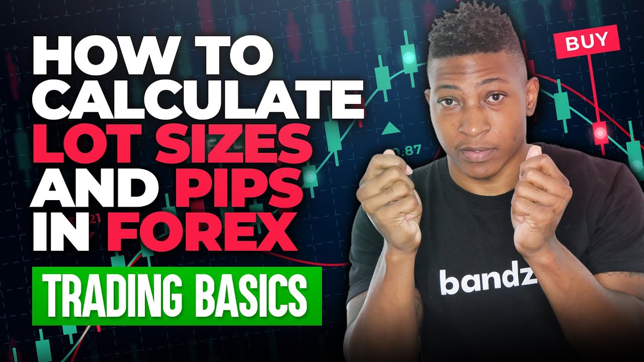 How To Calculate Lot Sizes And Pips In Forex Trading Basics Youtube