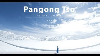 旅遊｜2018 Pangong Tso兩個傻瓜班公湖