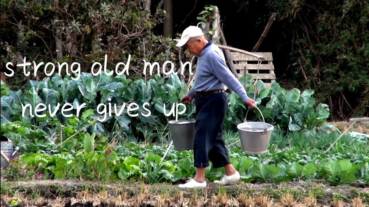 Strong 90 years old  man works very hard in his field♥️九十幾歲老的老爺爺很認真的在他的田裡工作♥️👍