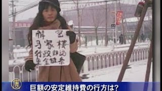 巨額の安定維持費の行方は？
