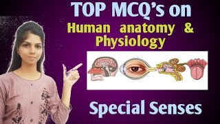 MCQ's on Special Senses | Human anatomy & Physiology |gpat MCQs |Special Senses MCQ's |HAP-I screenshot 5