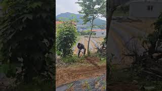 보일러성지 부자 농사에 진심!! #아빠 #아들 #농사 #힘내세요#보일러성지 #다가온배관