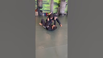 Toreando pass + leg drag #bjjdrills #bjjtechnique #jiujitsu