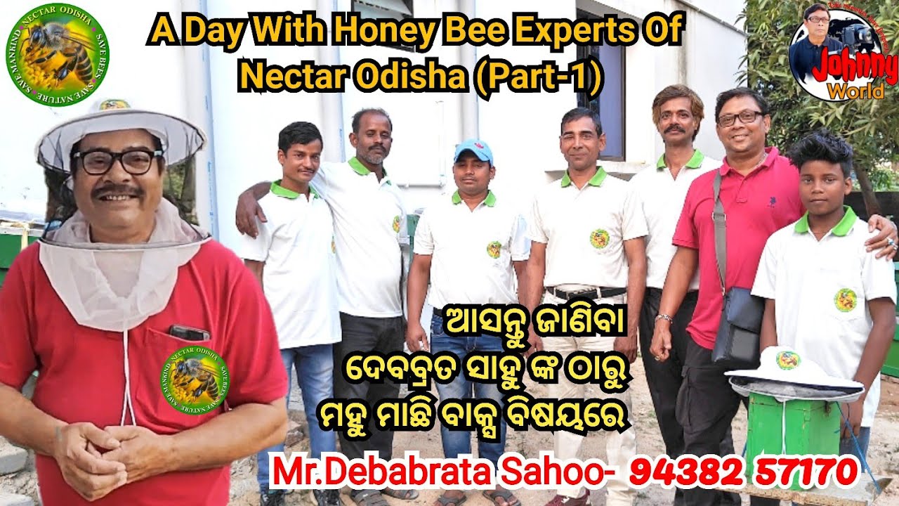 Art Of Beekeeping (Part- 2) | Nectar Odish | Beekeeping In Odisha | #Bee Box  | ମହୁ ଚାଷ ଏକ କଳା