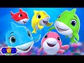 Learn to Count 5 with Five Little Sharks &amp; More Bob Rhymes &amp; Baby Songs