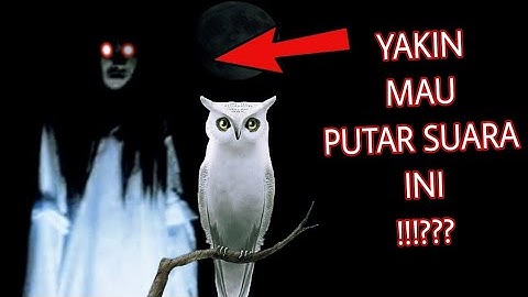 Suara Kuntilanak Dan Burung Hantu Di Malam Hari !!! Kalau Takut Jangan Diputar !!!