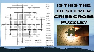 How to solve an IPC Criss Cross Puzzle ? screenshot 3