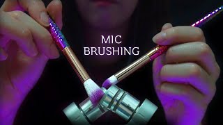 ASMR 메이크업 브러쉬로 간질간질 귀청소 (노토킹)｜Mic brushing using Makeup Brushes