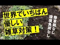 草が生えなくなる！除草後の草の活用法とは？