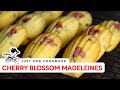 How to Make CHERRY BLOSSOM MADELEINES (Recipe) 桜マドレーヌの作り方