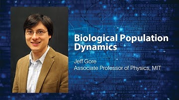 MIT on Chaos and Climate: Biological Population Dynamics