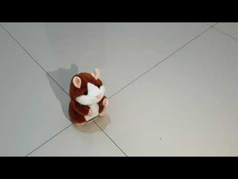 Review Boneka Hamster Lucu yang Bisa Bicara (cuma 75RB Rupiah!!!) | CANDRA SALAY REVIEW MAINAN. 