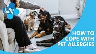 How To Cope With Pet Allergies | Blue Cross Pet Advice