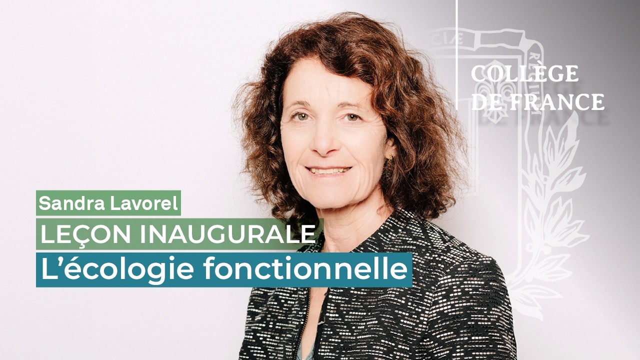 L’écologie fonctionnelle - Sandra Lavorel (2026)