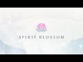 League of Legends: Spirit Blossom Reveal