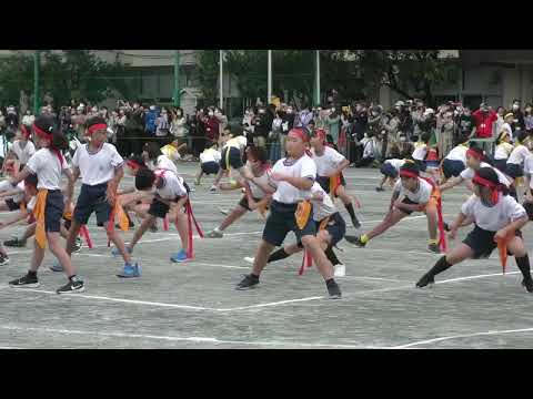赤穂ばあばへ　りくの運動会