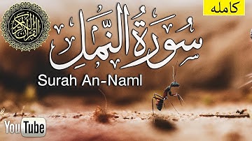 سورة النمل كاملة أجمل تلاوة هادئة تريح القلب ❤ || سبحان من رزقه هذا الصوت محمد زهير  Surah An-Naml