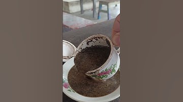 WARKOP YASAK | BUNGAH GRESIK
