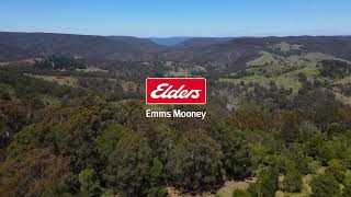 Elders Emms Mooney - 363 Sheepstation Forest Road, Gingkin