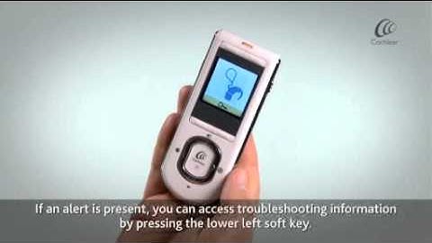 Accessing the Remote Assistant Status Screen (Simple User Interface)