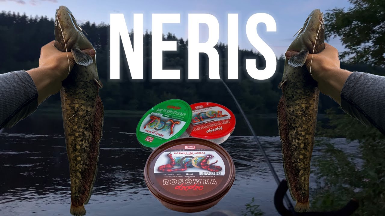 Kur slepiasi unguriai? 3 naktų žvejyba Neryje