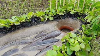 Build Fish Trapping System Using Clay Pottery Catch A Lot Of Fishes - Amazing Fishing#Fishing