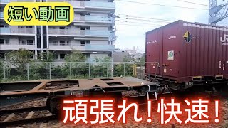 【ショート動画】JR神戸線の複々線で貨物をすんなり抜くと思われたが…