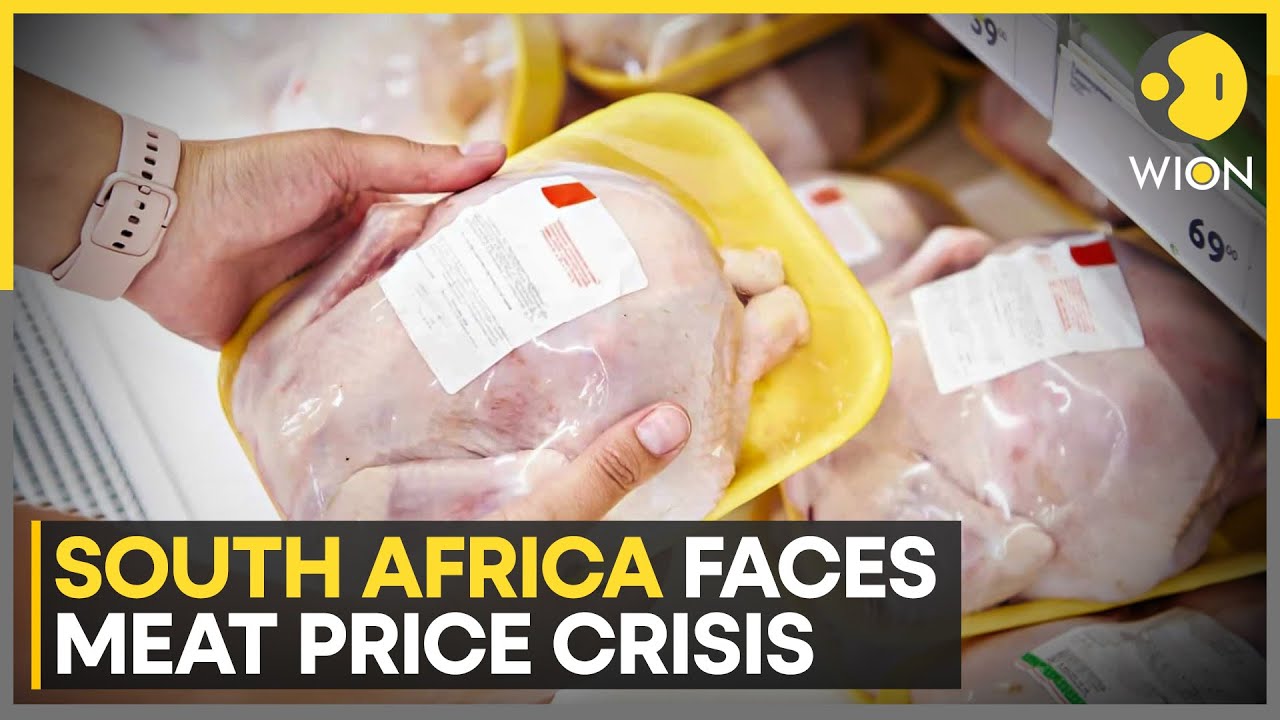 South Africa Meat Prices Hit Eight-Year High Amid Foot-and-Mouth Disease Outbreak | WION