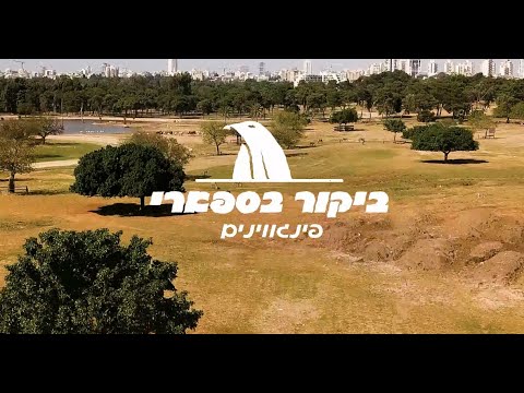 וִידֵאוֹ: האם לפינגווינים יש אוזניים?