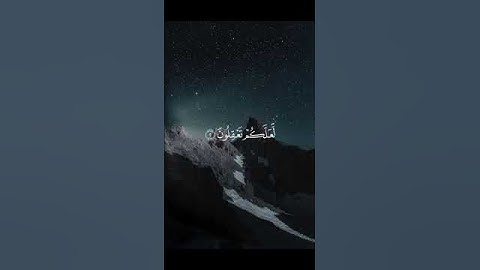 سورة يوسف - هزاع البلوشي
