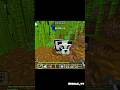 minecraft 🤣 #funny