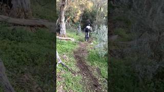 Download Lagu New trails are great @marimtb4626 @GladwrapSends #mtb #sends #dh #subscribe MP3 Download Lagu New trails are great @marimtb4626 @GladwrapSends #mtb #sends #dh #subscribe MP3