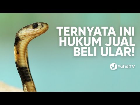 Hukum jual beli online : Ustadz Dr. Erwandi Tarmizi. 