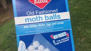 Simple Garden Hack....Mothballs