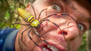 Face to Fang with a Giant Spider!