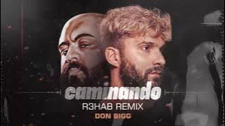 Don Bigg - Caminando (R3HAB Remix)