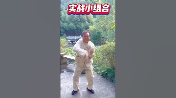 馬老師打一個實戰小組合 #馬保國 #马保国 #中国功夫 #傳統功夫 #太極 #武术 #高手 #实战 #傳統武術 #渾元十三刀 #funnyvideo