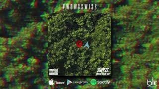 Video thumbnail of "Swiss - Where do we go? [Official Audio]"